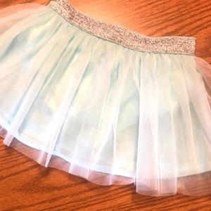 Light Teal Tulle Skirt